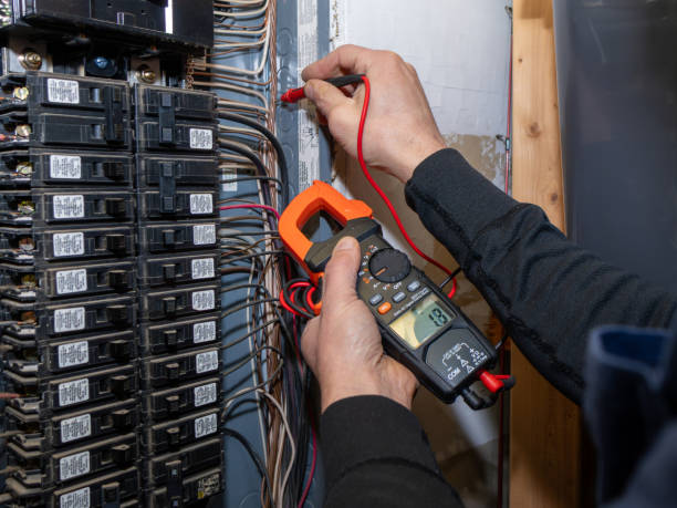 Best Ceiling Fan Installation Electrician  in Georgetown, CA